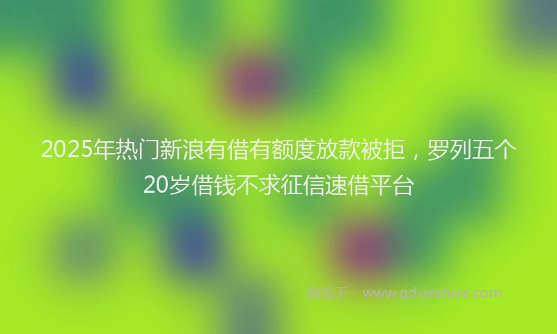 2025年热门新浪有借有额度放款被拒，罗列五个20岁借钱不求征信速借平台