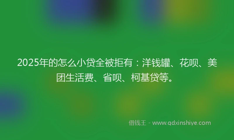 2025年的怎么小贷全被拒有：洋钱罐、花呗、美团生活费、省呗、柯基贷等。