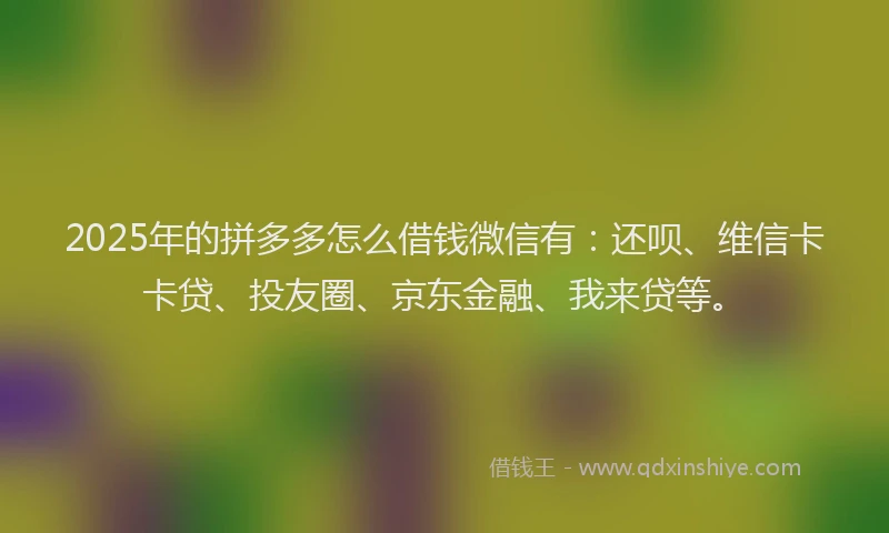 2025年的拼多多怎么借钱微信有：还呗、维信卡卡贷、投友圈、京东金融、我来贷等。