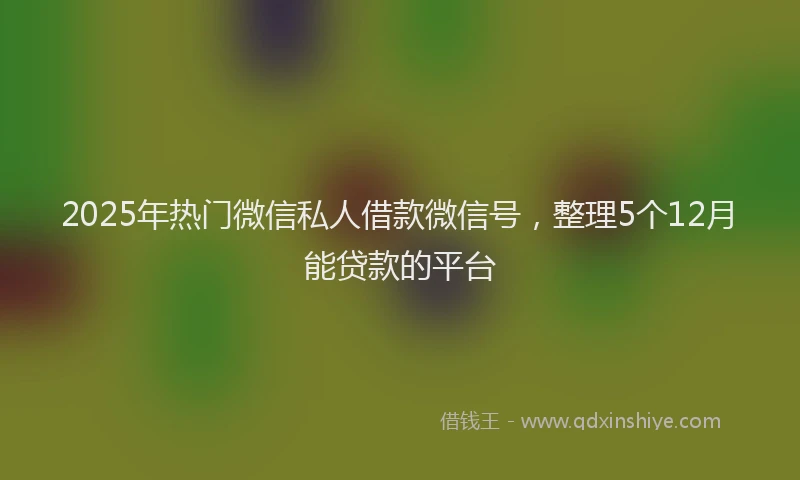 2025年热门微信私人借款微信号，整理5个12月能贷款的平台
