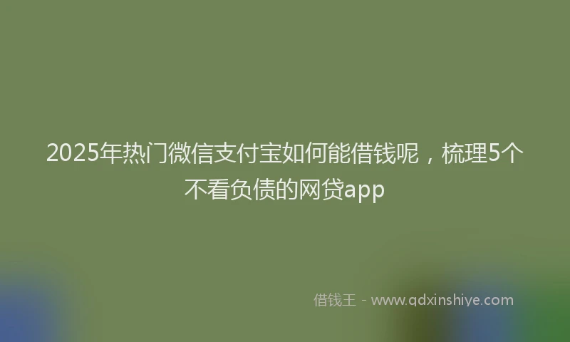 2025年热门微信支付宝如何能借钱呢，梳理5个不看负债的网贷app