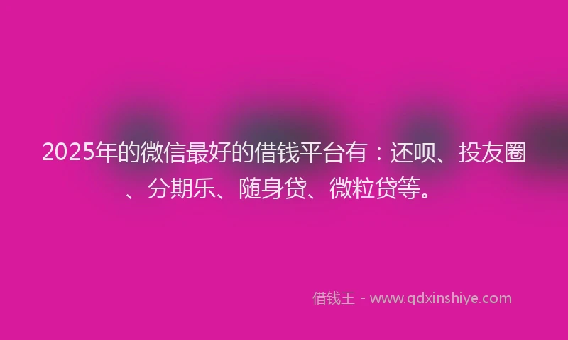 2025年的微信最好的借钱平台有：还呗、投友圈、分期乐、随身贷、微粒贷等。