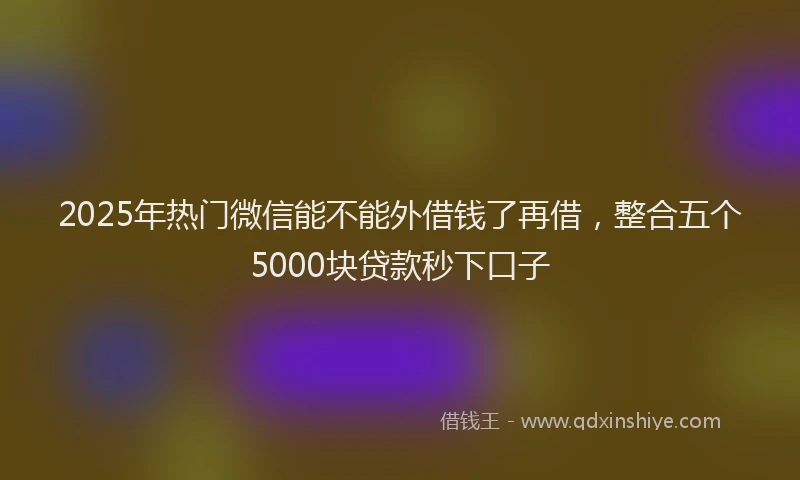 2025年热门微信能不能外借钱了再借，整合五个5000块贷款秒下口子