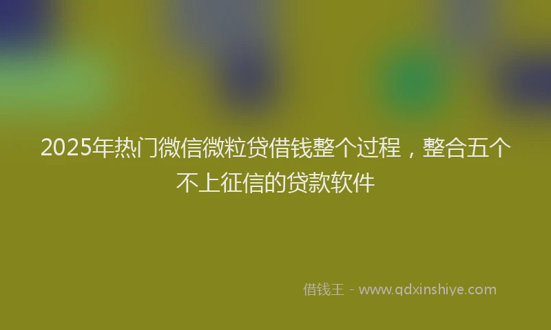 2025年热门微信微粒贷借钱整个过程，整合五个不上征信的贷款软件