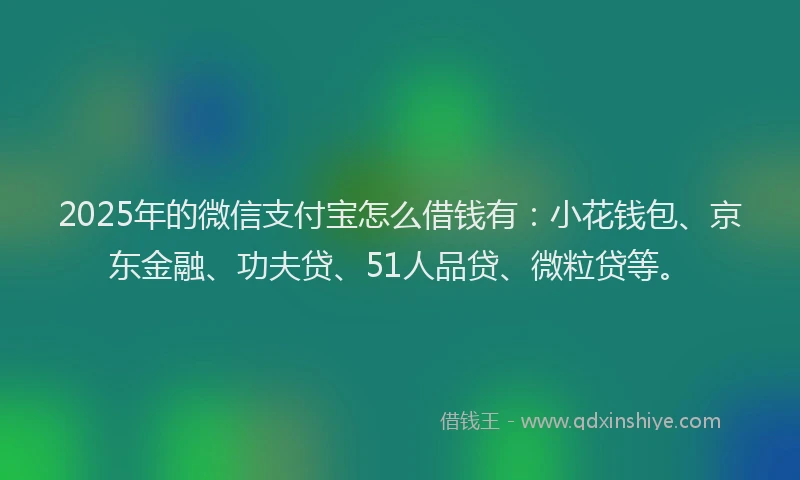 2025年的微信支付宝怎么借钱有：小花钱包、京东金融、功夫贷、51人品贷、微粒贷等。