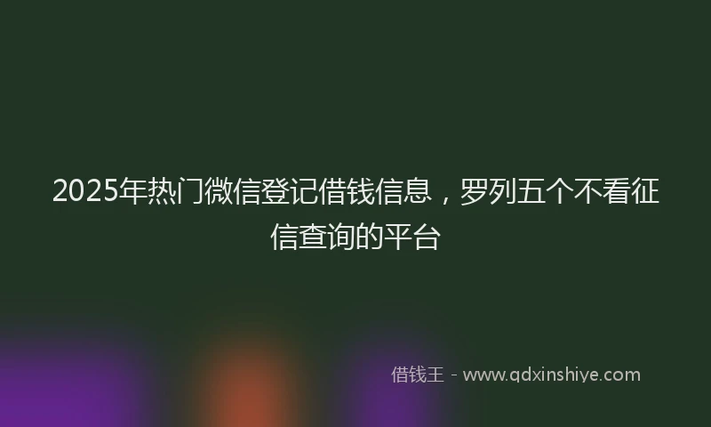 2025年热门微信登记借钱信息，罗列五个不看征信查询的平台
