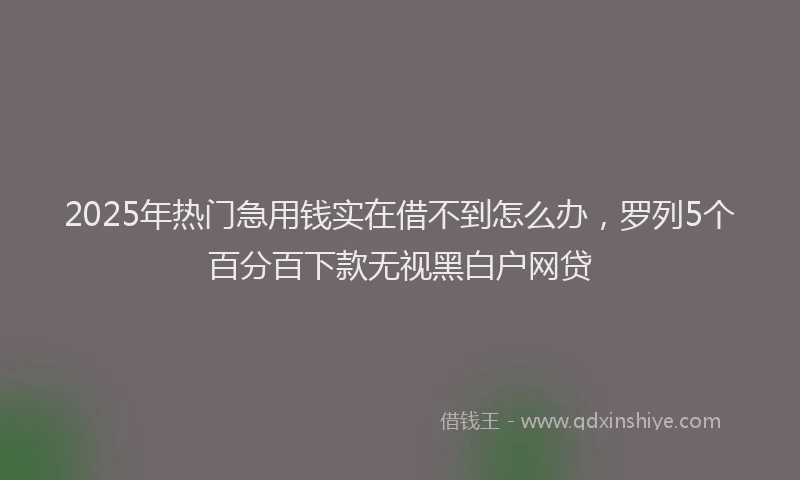 2025年热门急用钱实在借不到怎么办，罗列5个百分百下款无视黑白户网贷