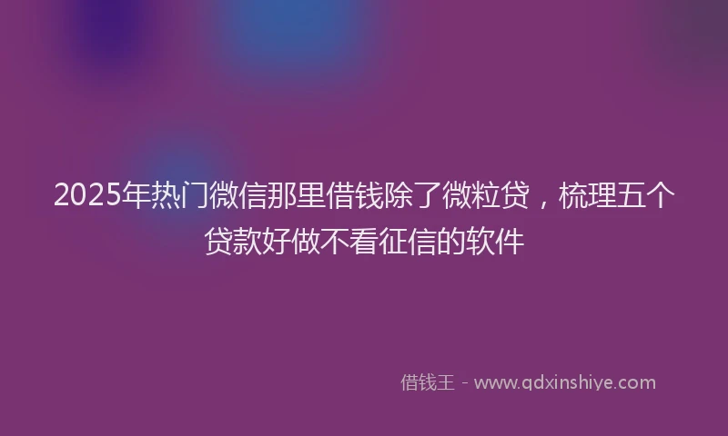 2025年热门微信那里借钱除了微粒贷，梳理五个贷款好做不看征信的软件