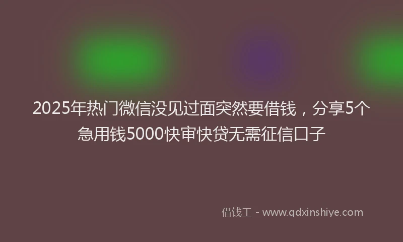 2025年热门微信没见过面突然要借钱，分享5个急用钱5000快审快贷无需征信口子