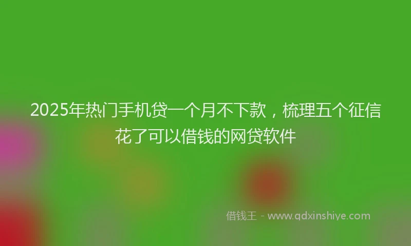 2025年热门手机贷一个月不下款，梳理五个征信花了可以借钱的网贷软件