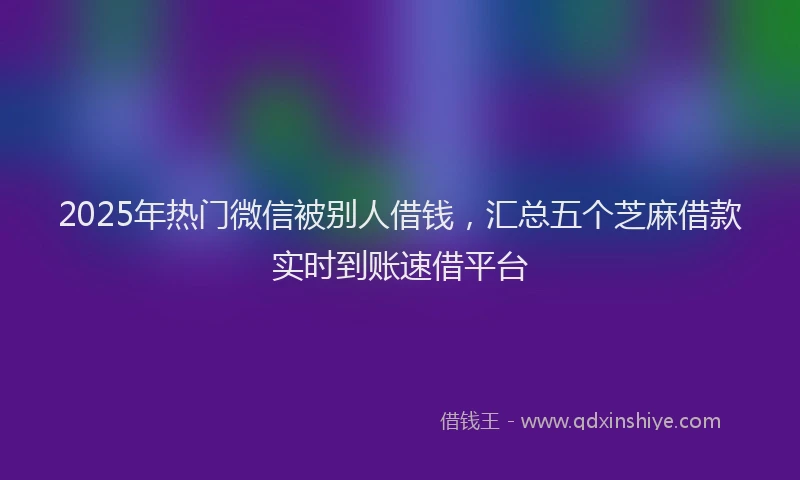 2025年热门微信被别人借钱，汇总五个芝麻借款实时到账速借平台