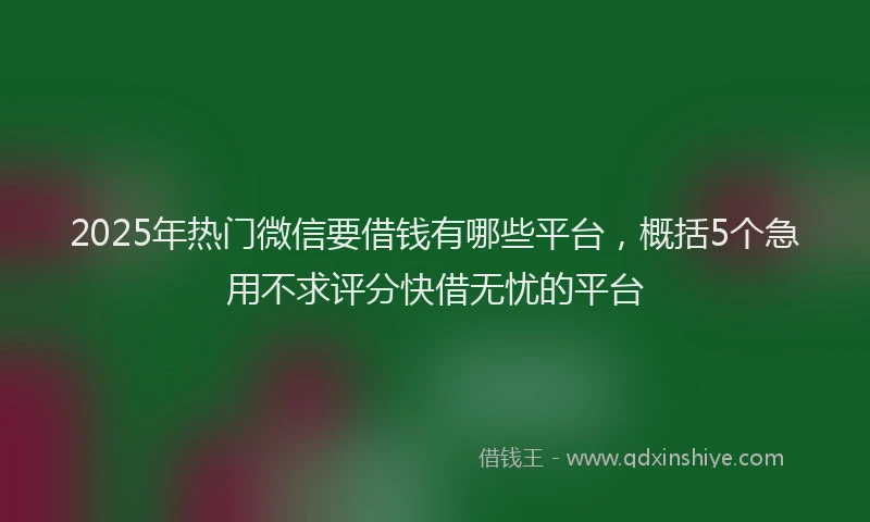 2025年热门微信要借钱有哪些平台，概括5个急用不求评分快借无忧的平台