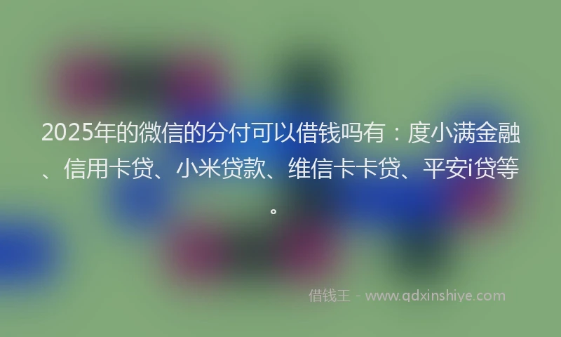 2025年的微信的分付可以借钱吗有：度小满金融、信用卡贷、小米贷款、维信卡卡贷、平安i贷等。
