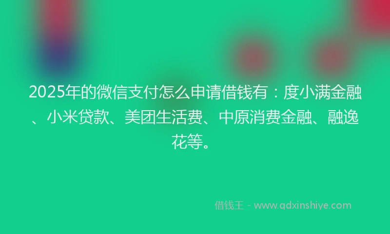 2025年的微信支付怎么申请借钱有：度小满金融、小米贷款、美团生活费、中原消费金融、融逸花等。