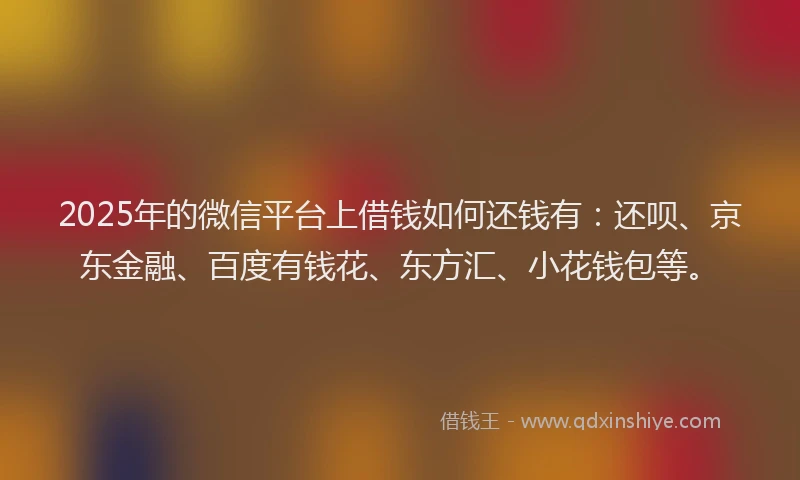 2025年的微信平台上借钱如何还钱有：还呗、京东金融、百度有钱花、东方汇、小花钱包等。