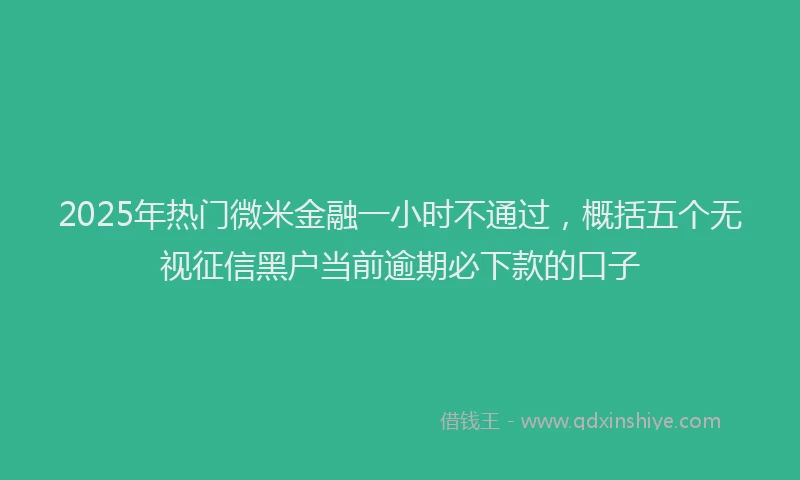 2025年热门微米金融一小时不通过，概括五个无视征信黑户当前逾期必下款的口子