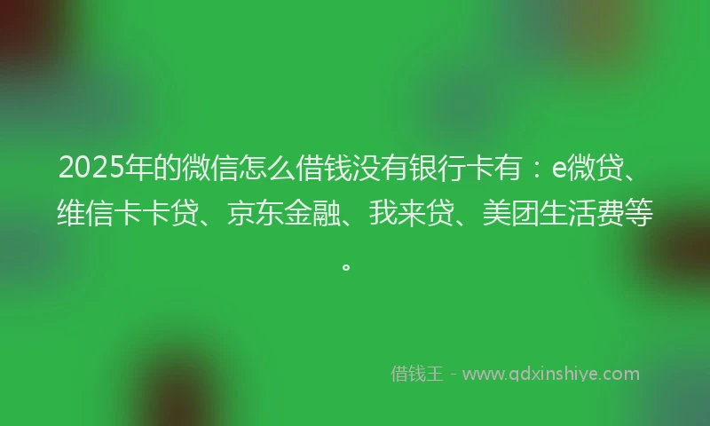 2025年的微信怎么借钱没有银行卡有：e微贷、维信卡卡贷、京东金融、我来贷、美团生活费等。