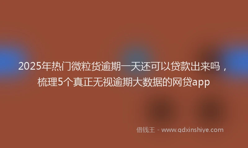 2025年热门微粒货逾期一天还可以贷款出来吗，梳理5个真正无视逾期大数据的网贷app