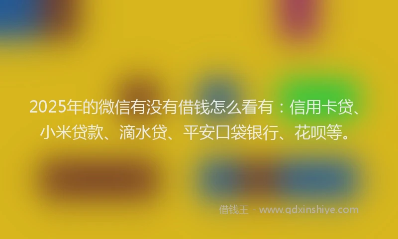 2025年的微信有没有借钱怎么看有：信用卡贷、小米贷款、滴水贷、平安口袋银行、花呗等。
