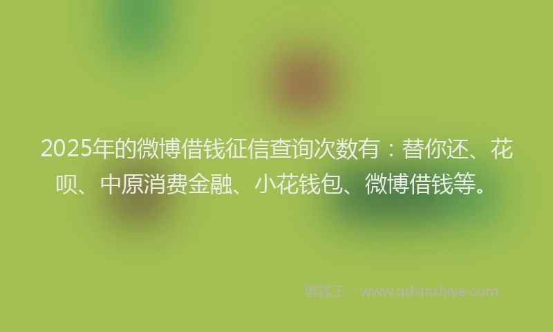 2025年的微博借钱征信查询次数有：替你还、花呗、中原消费金融、小花钱包、微博借钱等。
