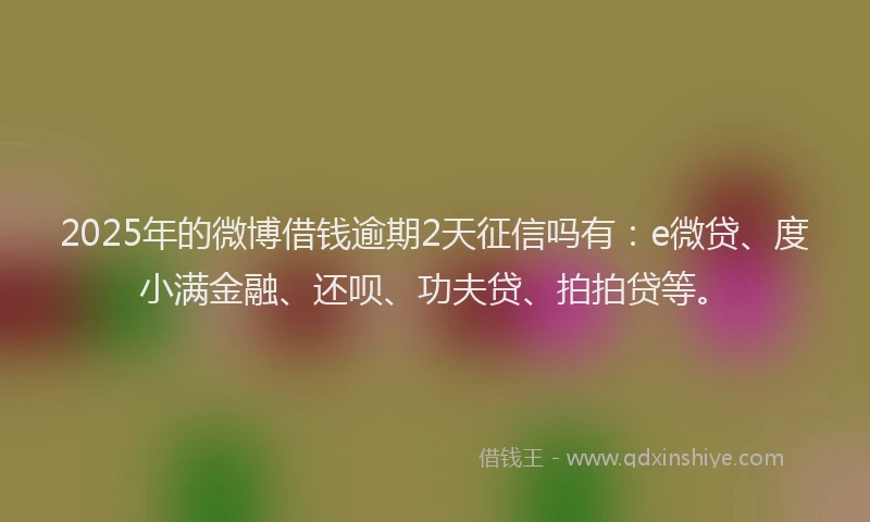 2025年的微博借钱逾期2天征信吗有：e微贷、度小满金融、还呗、功夫贷、拍拍贷等。