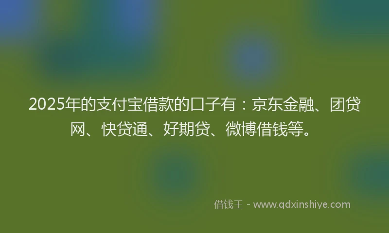 2025年的支付宝借款的口子有：京东金融、团贷网、快贷通、好期贷、微博借钱等。