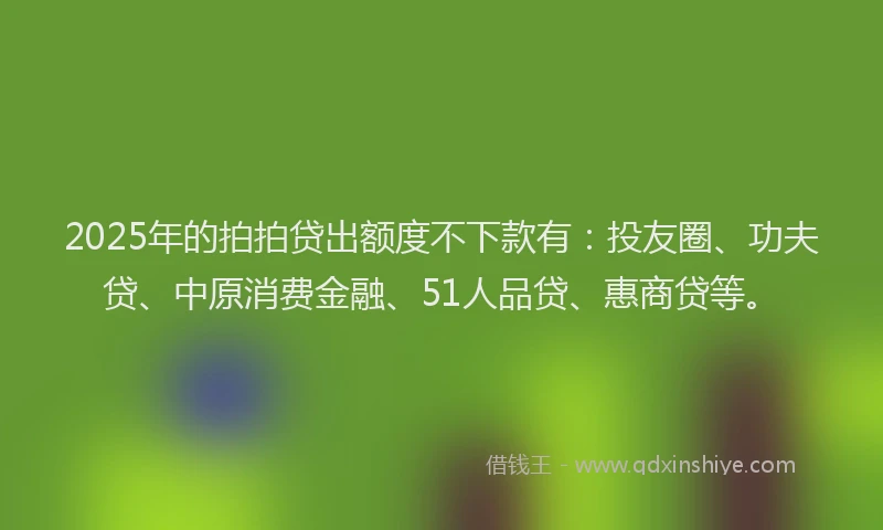 2025年的拍拍贷出额度不下款有：投友圈、功夫贷、中原消费金融、51人品贷、惠商贷等。