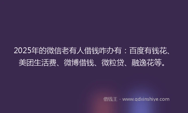2025年的微信老有人借钱咋办有：百度有钱花、美团生活费、微博借钱、微粒贷、融逸花等。