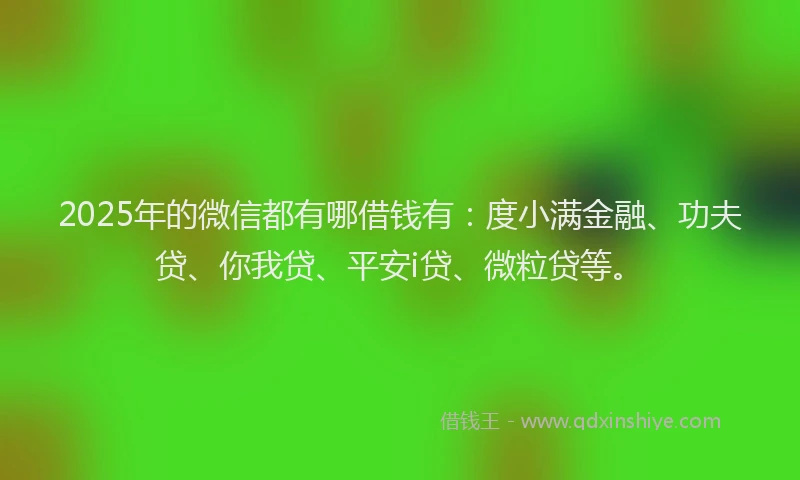 2025年的微信都有哪借钱有：度小满金融、功夫贷、你我贷、平安i贷、微粒贷等。