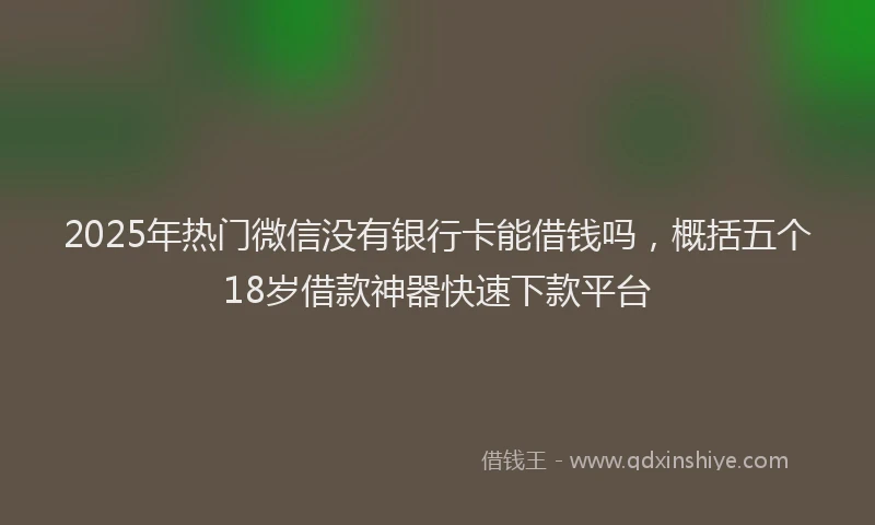 2025年热门微信没有银行卡能借钱吗，概括五个18岁借款神器快速下款平台