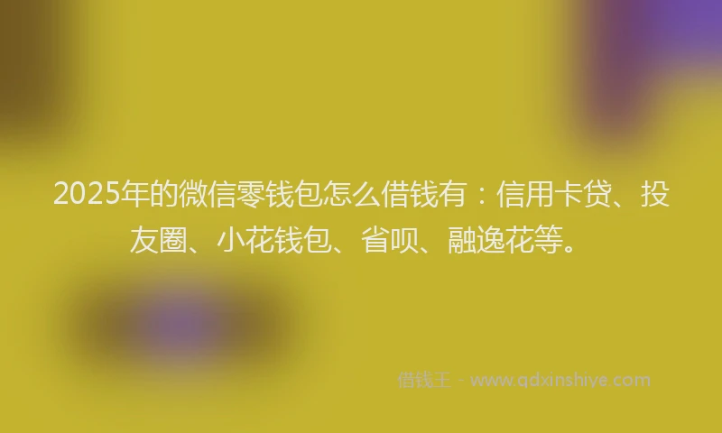 2025年的微信零钱包怎么借钱有：信用卡贷、投友圈、小花钱包、省呗、融逸花等。