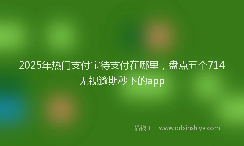 2025年热门支付宝待支付在哪里，盘点五个714无视逾期秒下的app