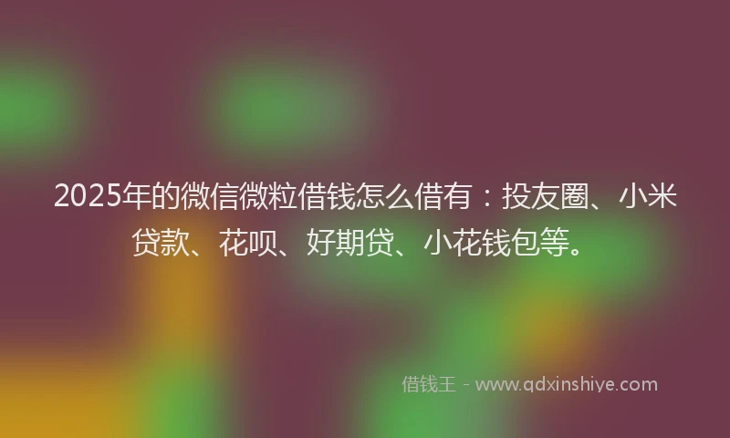 2025年的微信微粒借钱怎么借有：投友圈、小米贷款、花呗、好期贷、小花钱包等。
