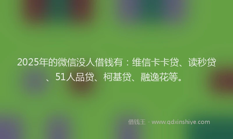 2025年的微信没人借钱有：维信卡卡贷、读秒贷、51人品贷、柯基贷、融逸花等。