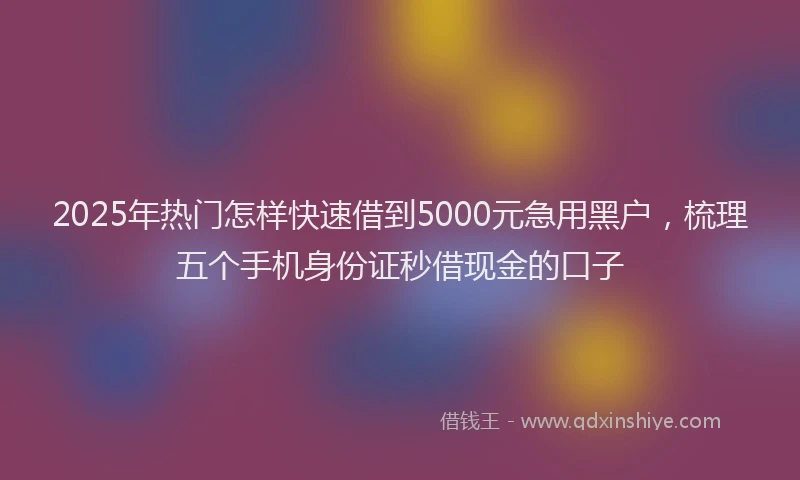 2025年热门怎样快速借到5000元急用黑户，梳理五个手机身份证秒借现金的口子