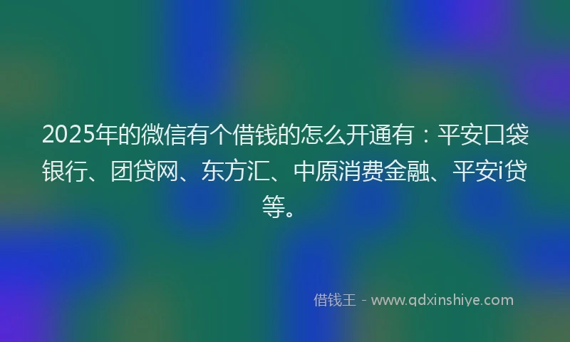 2025年的微信有个借钱的怎么开通有：平安口袋银行、团贷网、东方汇、中原消费金融、平安i贷等。