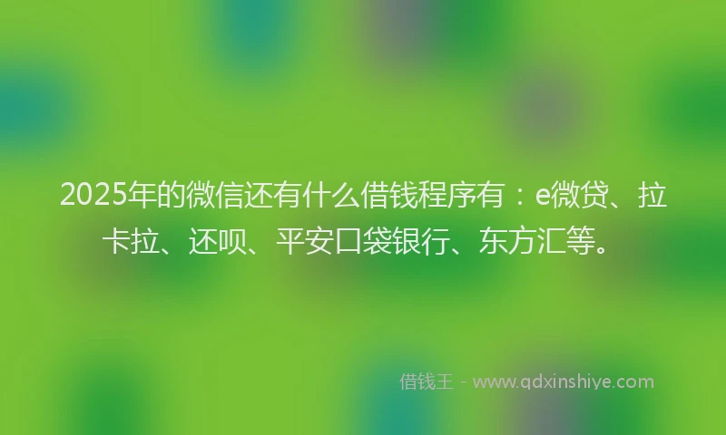 2025年的微信还有什么借钱程序有：e微贷、拉卡拉、还呗、平安口袋银行、东方汇等。