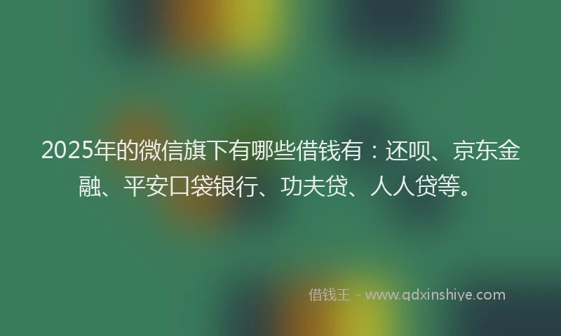 2025年的微信旗下有哪些借钱有：还呗、京东金融、平安口袋银行、功夫贷、人人贷等。