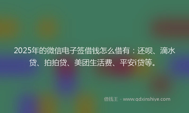 2025年的微信电子签借钱怎么借有：还呗、滴水贷、拍拍贷、美团生活费、平安i贷等。