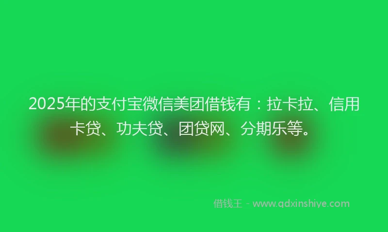2025年的支付宝微信美团借钱有：拉卡拉、信用卡贷、功夫贷、团贷网、分期乐等。