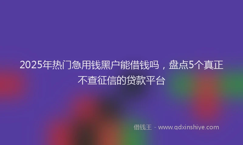 2025年热门急用钱黑户能借钱吗，盘点5个真正不查征信的贷款平台
