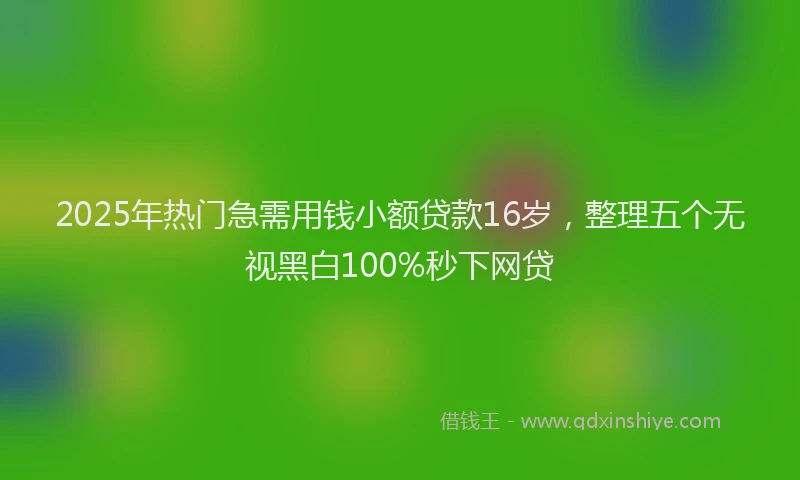 2025年热门急需用钱小额贷款16岁，整理五个无视黑白100%秒下网贷