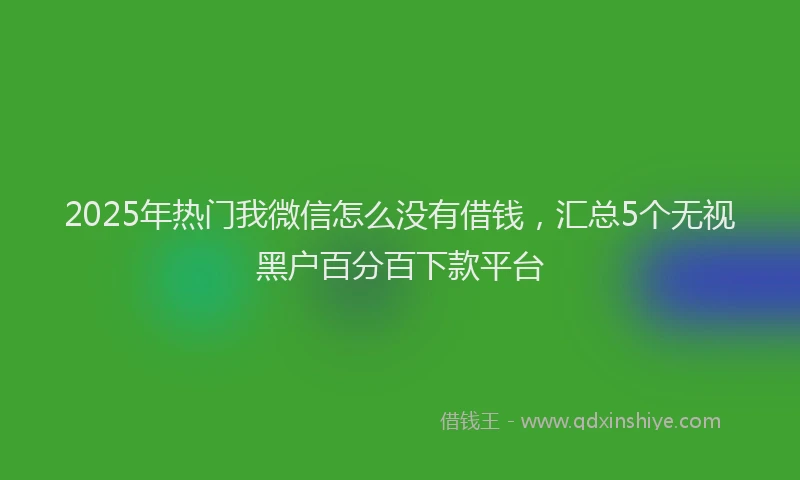 2025年热门我微信怎么没有借钱，汇总5个无视黑户百分百下款平台