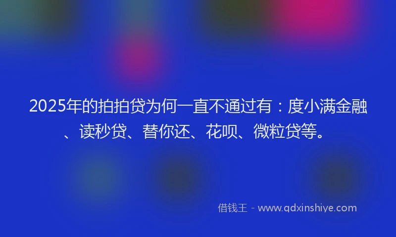 2025年的拍拍贷为何一直不通过有：度小满金融、读秒贷、替你还、花呗、微粒贷等。