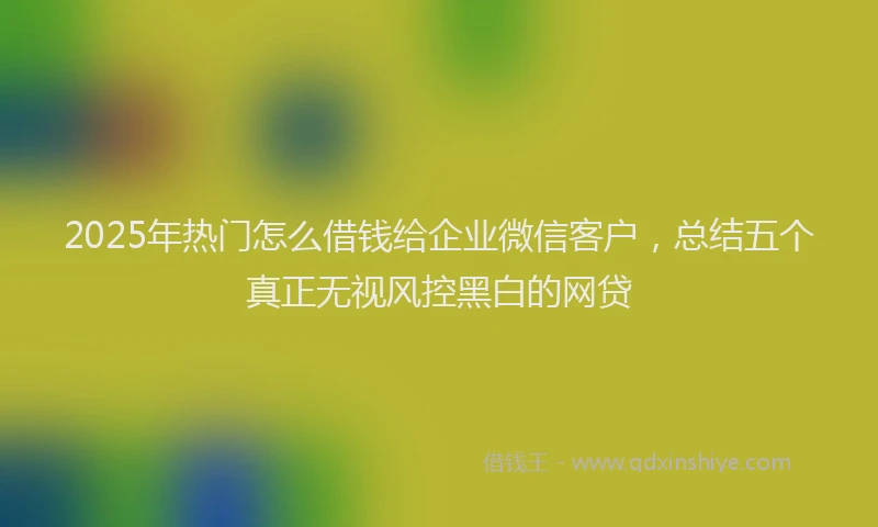 2025年热门怎么借钱给企业微信客户，总结五个真正无视风控黑白的网贷
