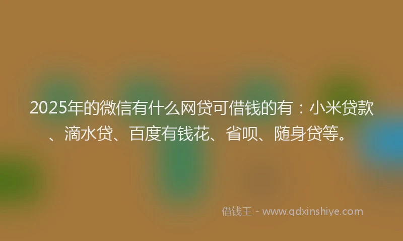 2025年的微信有什么网贷可借钱的有：小米贷款、滴水贷、百度有钱花、省呗、随身贷等。