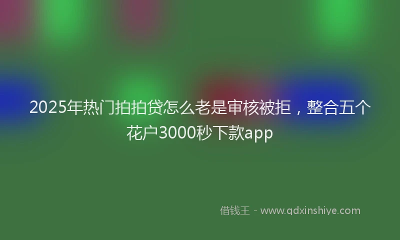 2025年热门拍拍贷怎么老是审核被拒，整合五个花户3000秒下款app