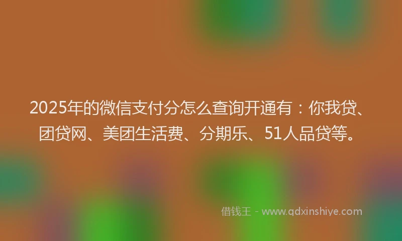 2025年的微信支付分怎么查询开通有：你我贷、团贷网、美团生活费、分期乐、51人品贷等。