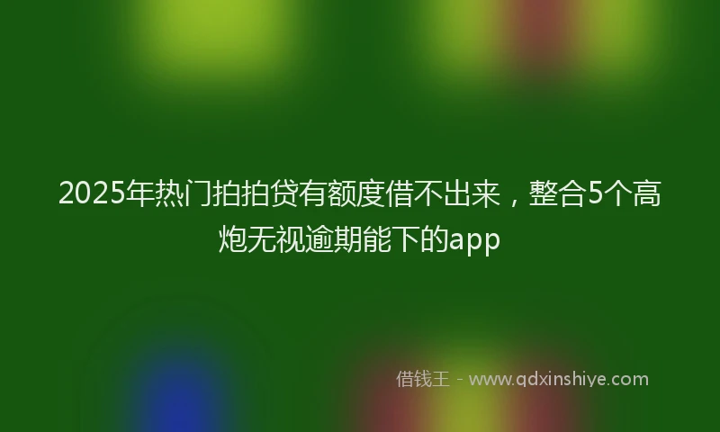2025年热门拍拍贷有额度借不出来，整合5个高炮无视逾期能下的app
