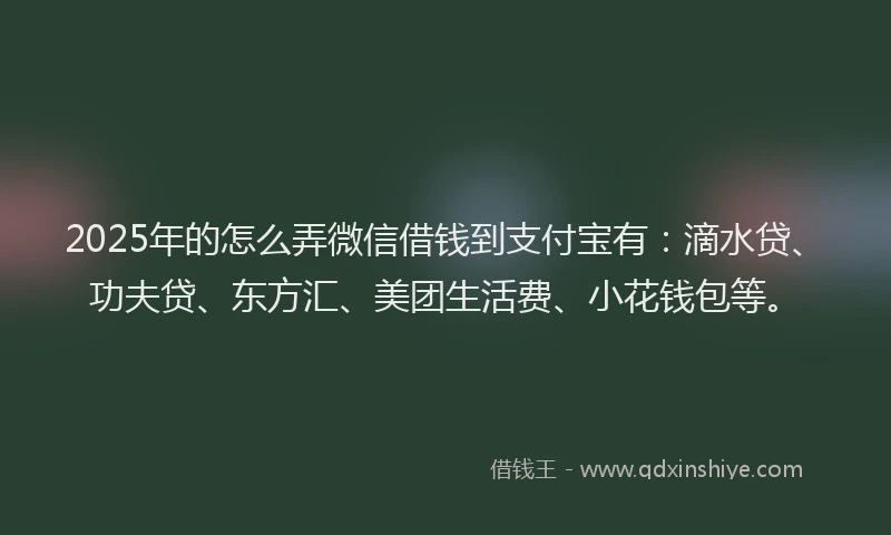 2025年的怎么弄微信借钱到支付宝有：滴水贷、功夫贷、东方汇、美团生活费、小花钱包等。
